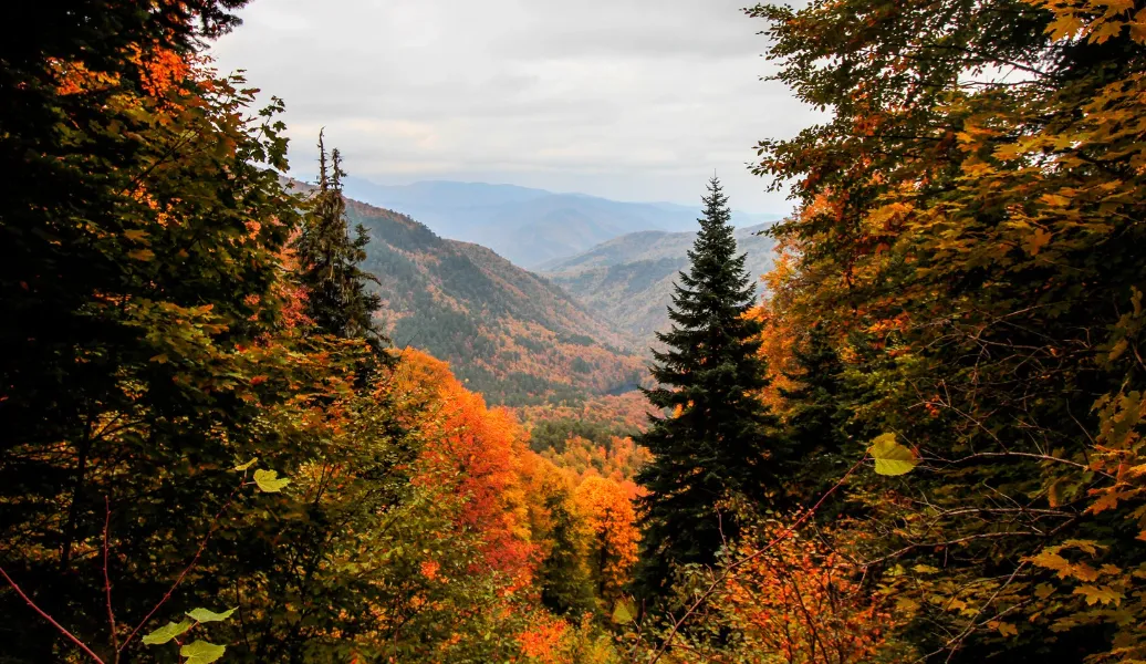 Romain, psychologue du travail en France, a choisi de ne PAS faire valoir son titre au Québec : le parcours d’une reconversion réussie.